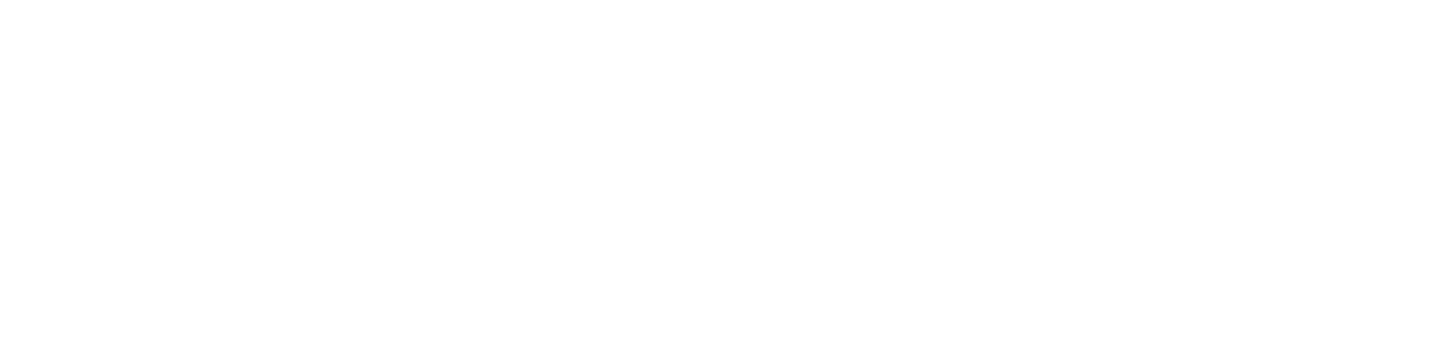 The Firelight Group Logo