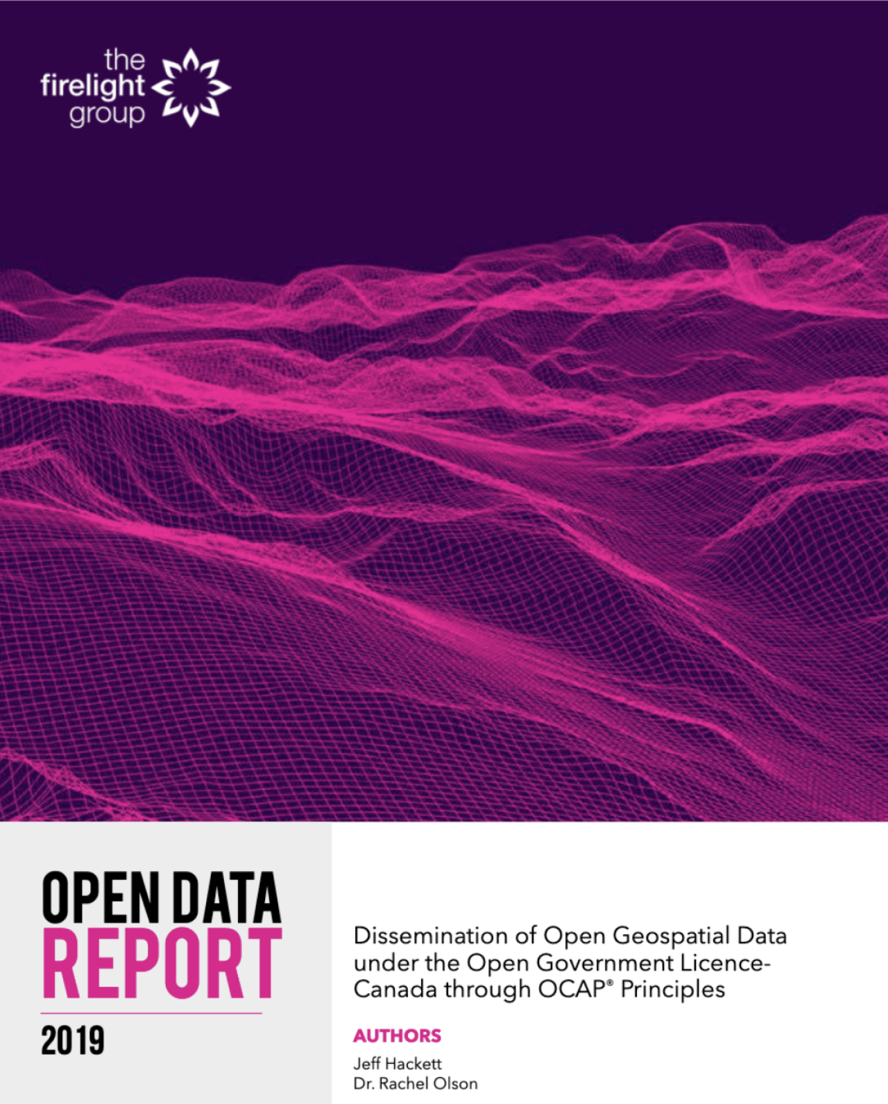 Firelight Open Data Report Released!