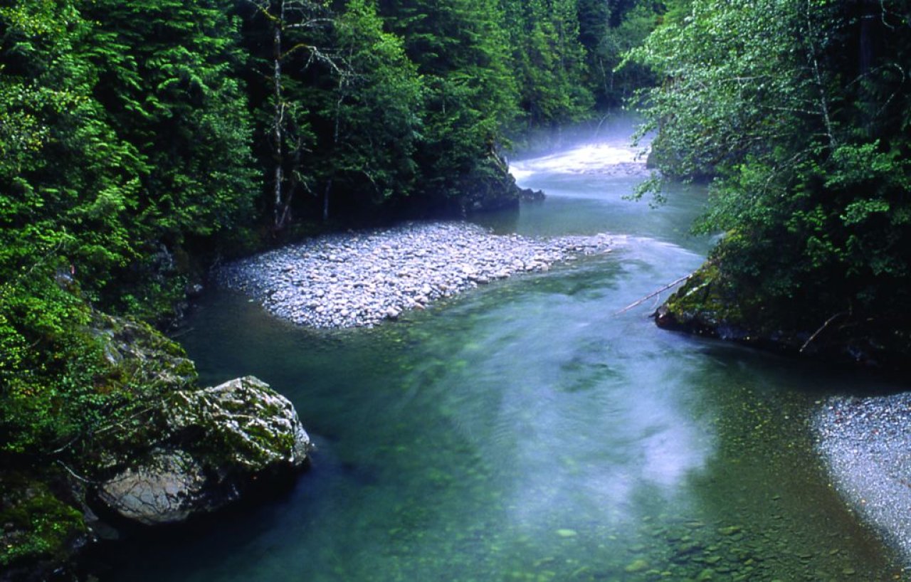 World Water Day 2022: A Look at the BC Watershed Security Fund Working Group