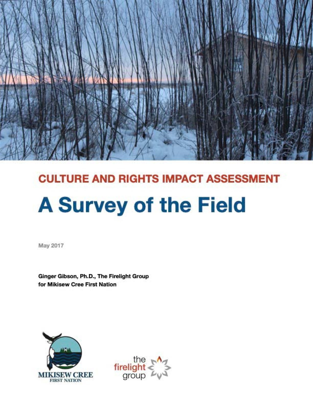 Culture and Rights Impact Assessment: A Survey of the Field (2017) Cover